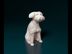 Schnauzer dog Modèles 3D en vedette