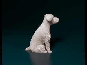 Schnauzer dog Modèles 3D en vedette