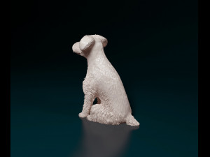 Schnauzer dog Modèles 3D en vedette