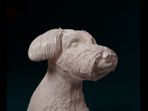 Schnauzer dog Modèles 3D en vedette