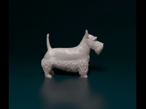 Scottish terrier Model Cetak 3D