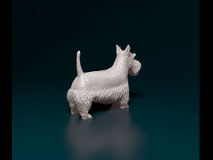Scottish terrier Model Cetak 3D