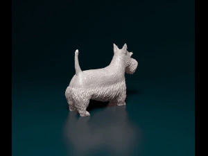 Scottish terrier 3D Print Model