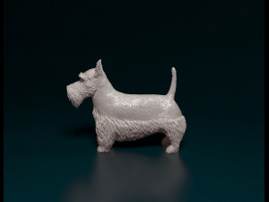 Scottish terrier Model Cetak 3D