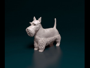 Scottish terrier Model Cetak 3D