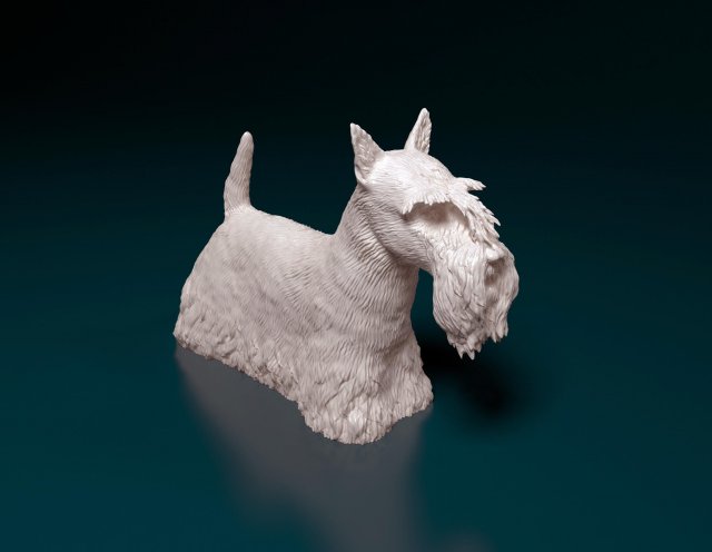 Scottish terrier dog Modelo de Impressão 3D .c4d .max .obj .3ds .fbx .stl .blend 