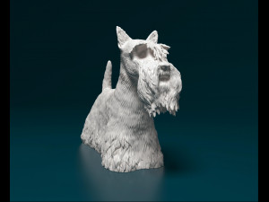 Scottish terrier dog Modelo de Impressão 3D