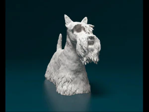Scottish terrier dog 3D Print Model