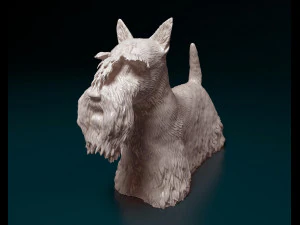 Scottish terrier dog 3D Print Model