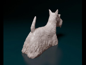 Scottish terrier dog Modelo de Impressão 3D