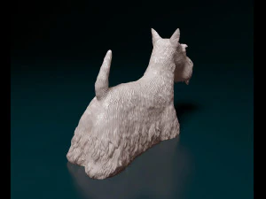 Scottish terrier dog 3D Print Model