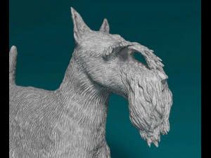 Scottish terrier dog 3D Print Model