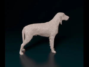 Rough-haired Segugio 3D Print Model