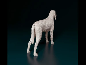 Rough-haired Segugio 3D Print Model