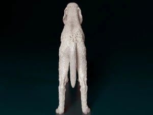 Rough-haired Segugio 3D Print Model