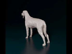 Rough-haired Segugio 3D Print Model