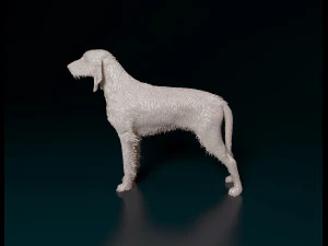 Rough-haired Segugio 3D Print Model