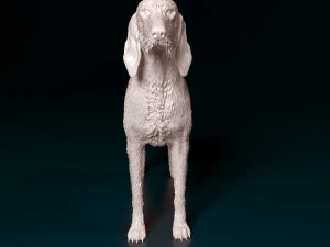Rough-haired Segugio 3D Print Model
