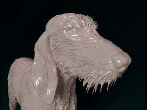 Rough-haired Segugio 3D Print Model