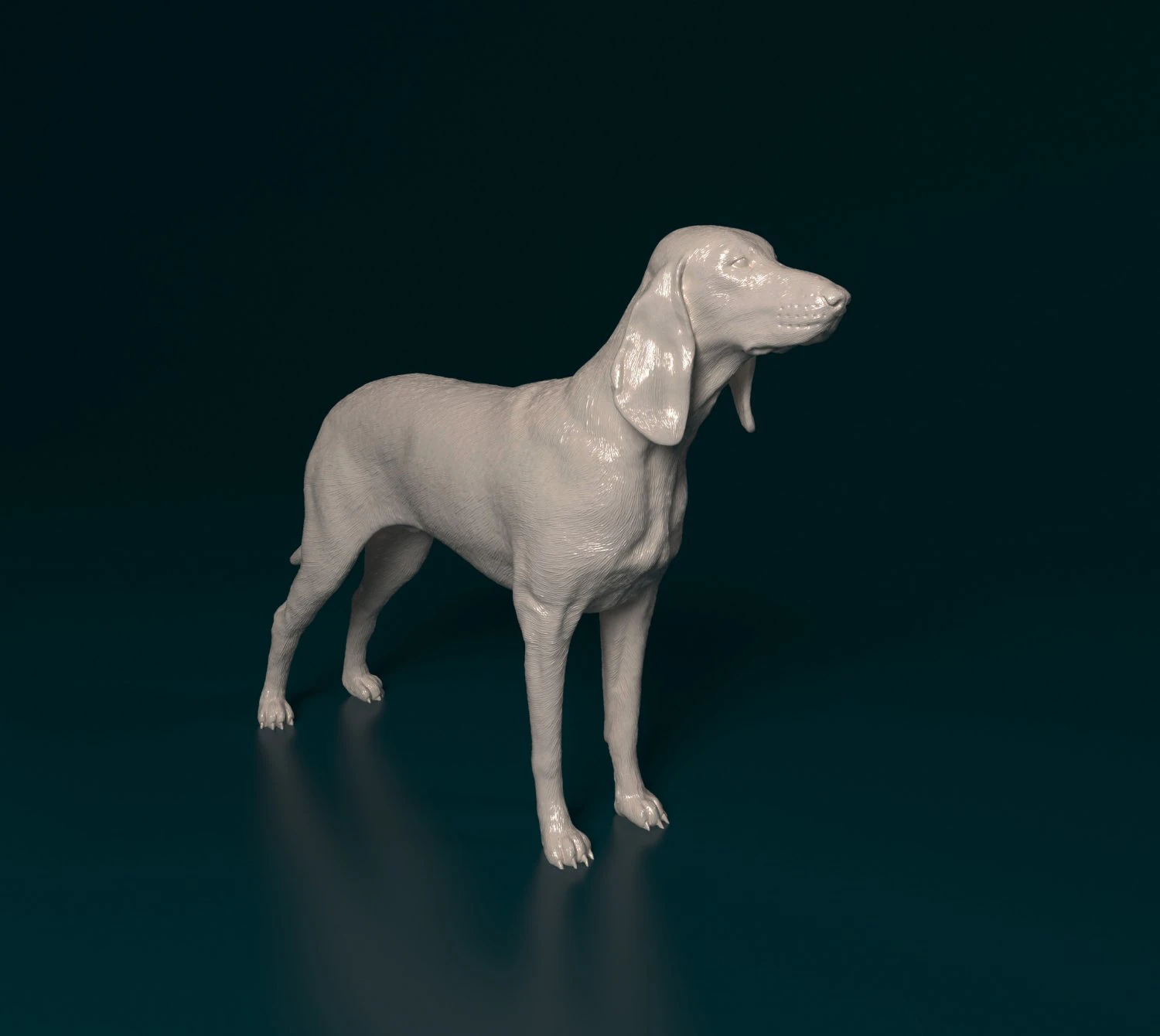 Segugio Italiano 3D Print Model .c4d .max .obj .3ds .fbx .stl .blend