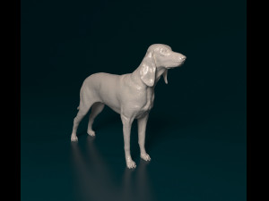 Segugio Italiano Modelo de impresión 3D