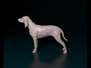 Segugio Italiano Model do druku 3D