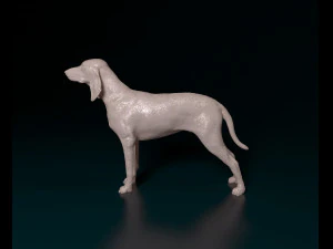 Segugio Italiano 3D Print Model