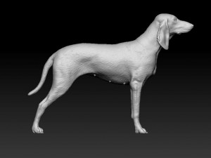 Segugio Italiano Model do druku 3D