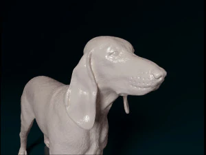 Segugio Italiano 3D Print Model