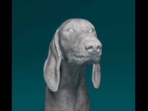 Segugio Italiano Model do druku 3D