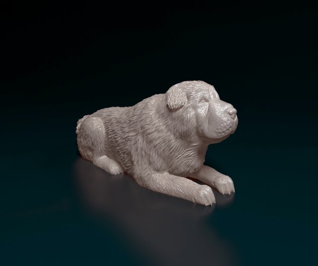 Shar Pei bear 3D Принт Модель .c4d .max .obj .3ds .fbx .stl .blend