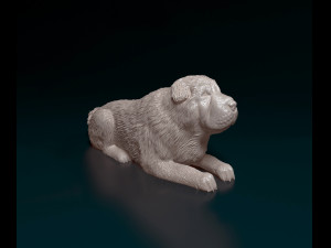 Shar Pei bear 3D Print Model