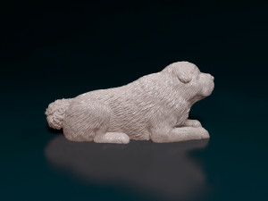 Shar Pei bear 3D Принт Модель