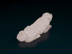 Shar Pei bear 3D Принт Модель