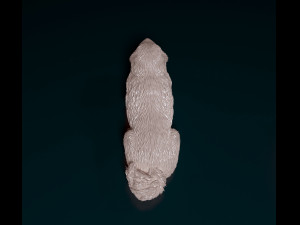 Shar Pei bear 3D Принт Модель