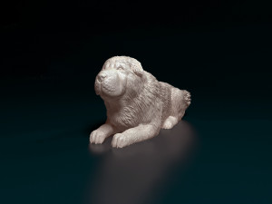 Shar Pei bear 3D Принт Модель