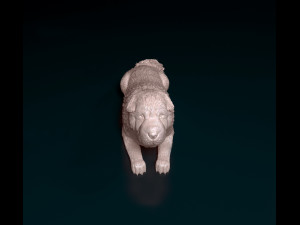 Shar Pei bear 3D Принт Модель