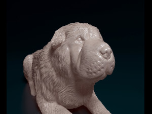 Shar Pei bear 3D Принт Модель