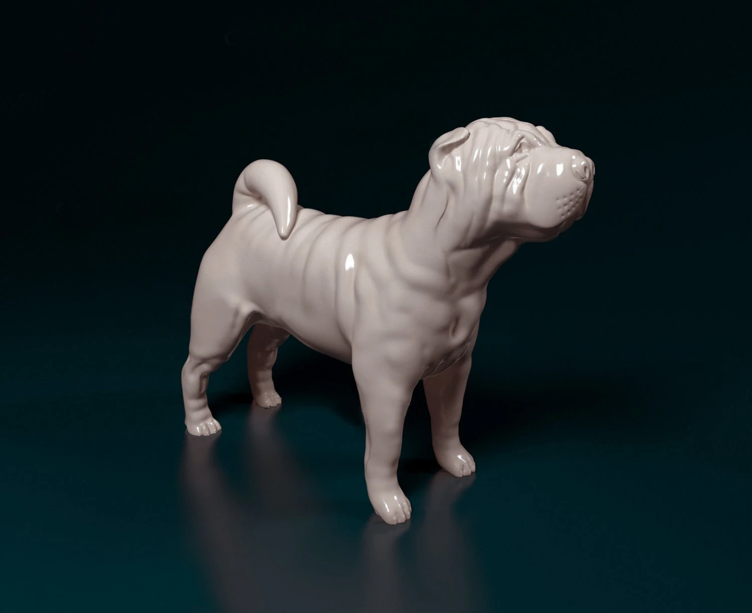 Shar Pei 3D Print Model .c4d .max .obj .3ds .fbx .stl .blend 