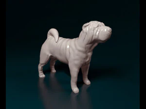 Shar Pei 3D Print Model