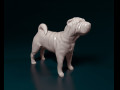 Shar Pei 3D प्रिंट मॉडल
