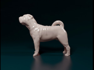 Shar Pei 3D Print Model