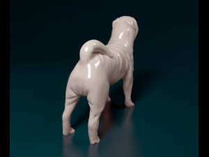 Shar Pei 3D Print Model