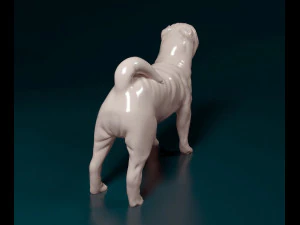 Shar Pei 3D Print Model