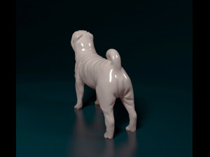 Shar Pei 3D Print Model