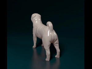 Shar Pei 3D Print Model