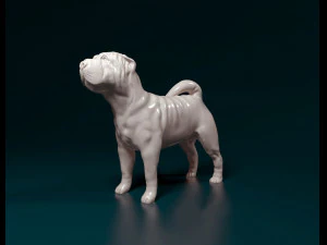 Shar Pei 3D Print Model
