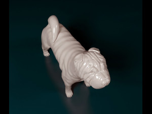 Shar Pei 3D Print Model