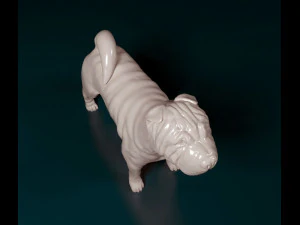 Shar Pei 3D Print Model