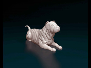 Shar Pei dog 3D Print Model